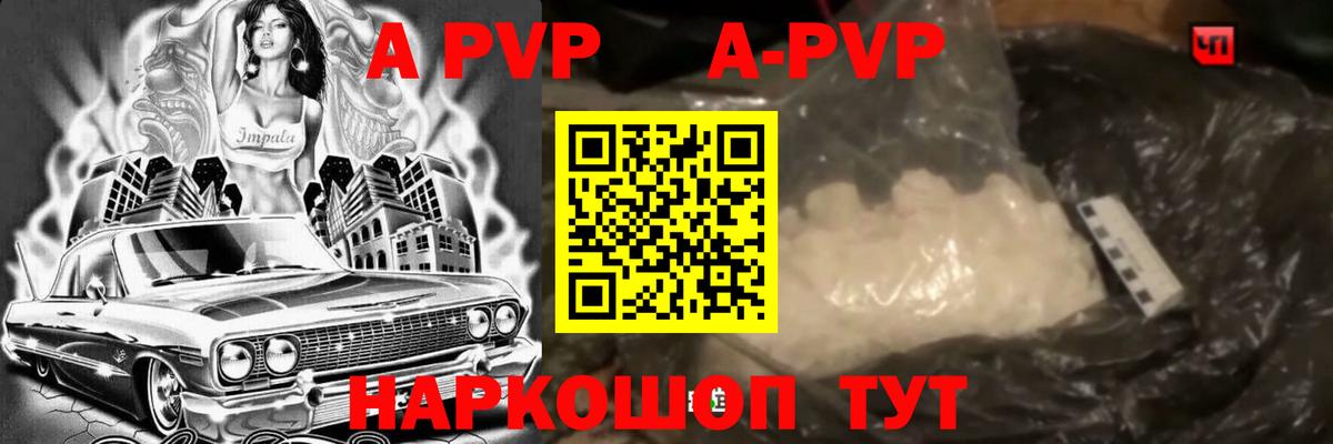 Alfa_PVP СК КРИС Аргун