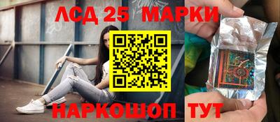 гашик Шелехов