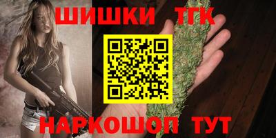 гашик Шелехов