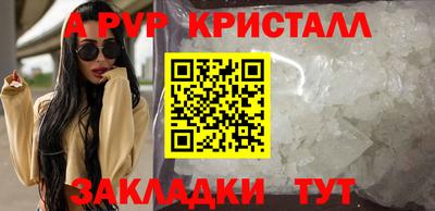 гашик Шелехов