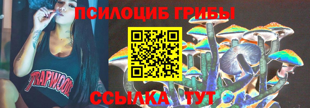 где купить   Псилоцибиновые грибы мицелий  Галлюциногенные грибы прущие грибы  Вход с VPN  Аргун 